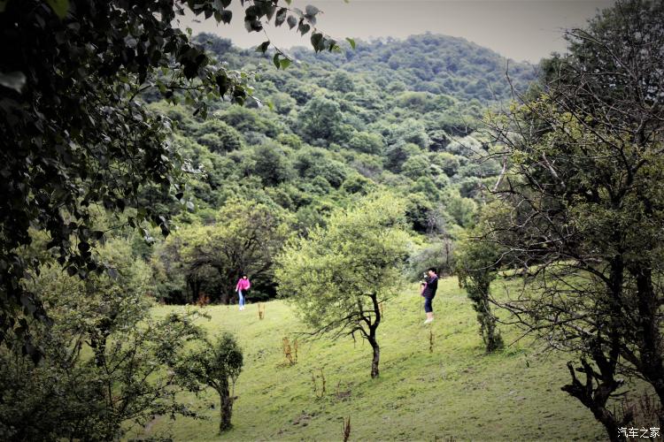 难忘的草原简谱完整版,难忘的草原女声完整版