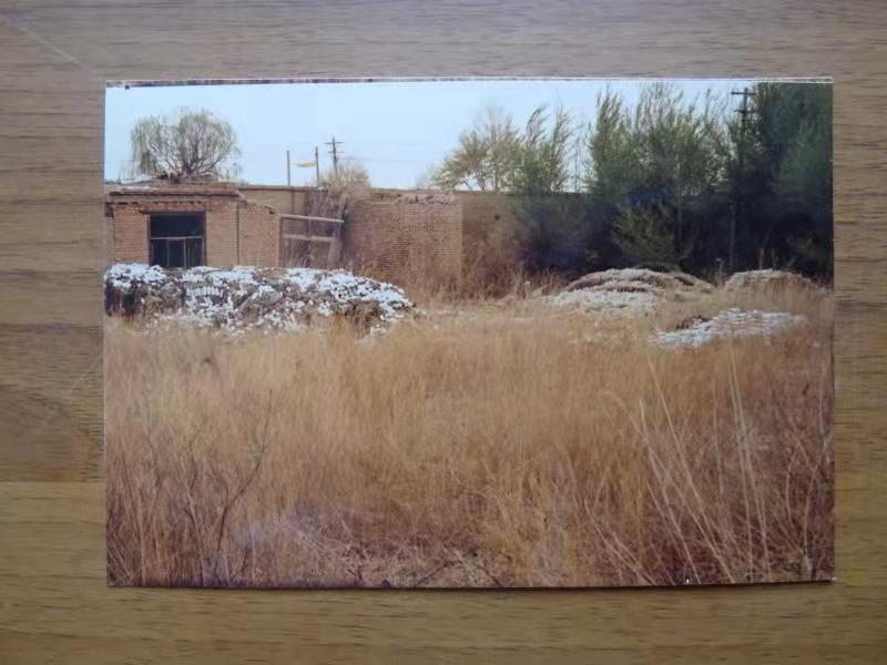 一位品牌大师的自述——专访“宁夏红”品牌创始人张金山