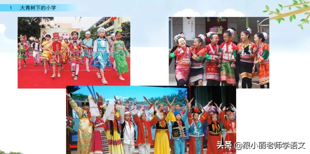 大青树下的小学重要背诵内容,大青树下的小学重点知识点