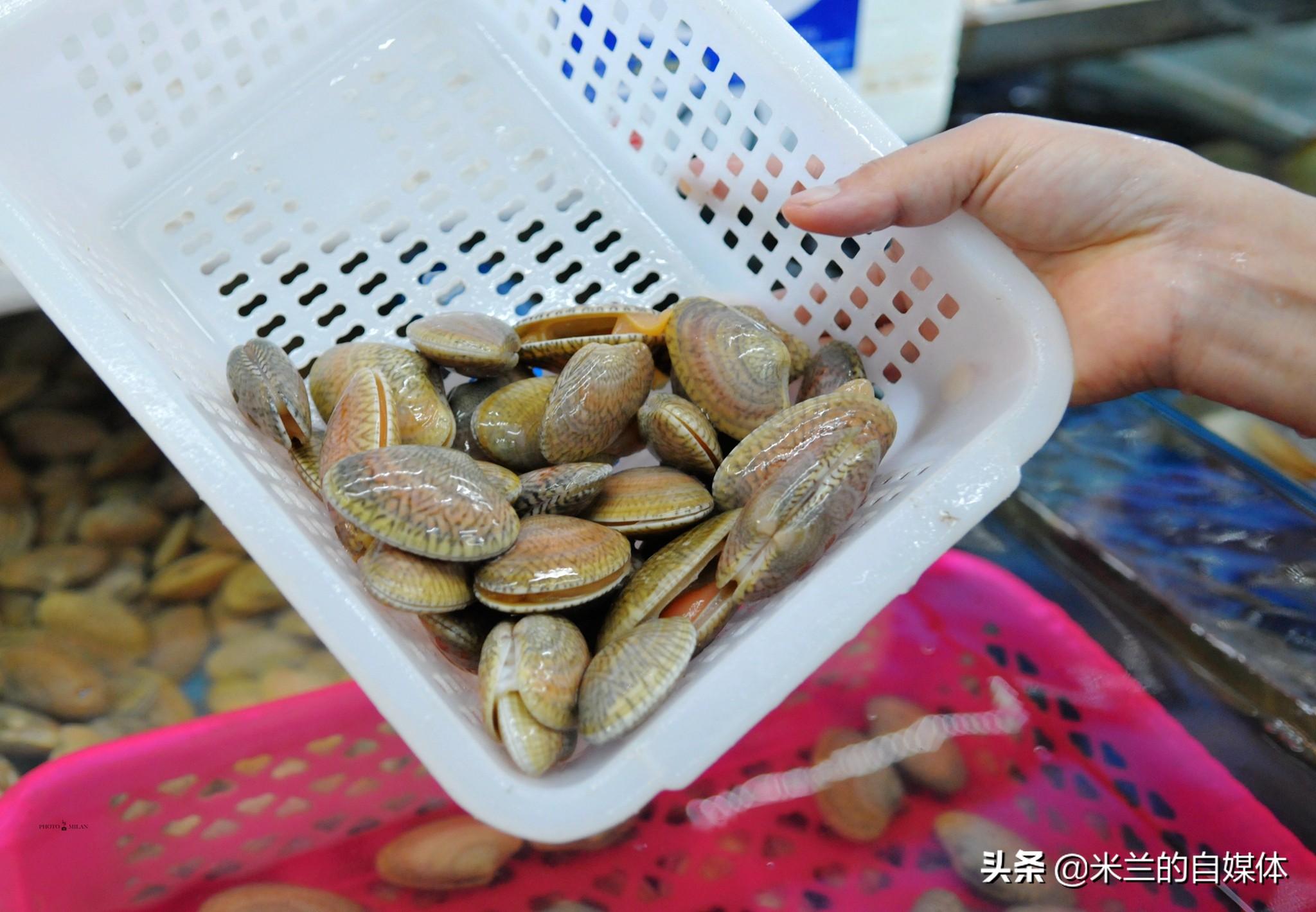 三亚旅游攻略美食推荐,三亚旅游美食攻略自由行