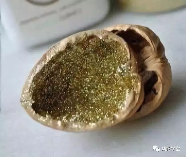 废物利用亲子手工制作坚果,创意坚果手工制作大全图片