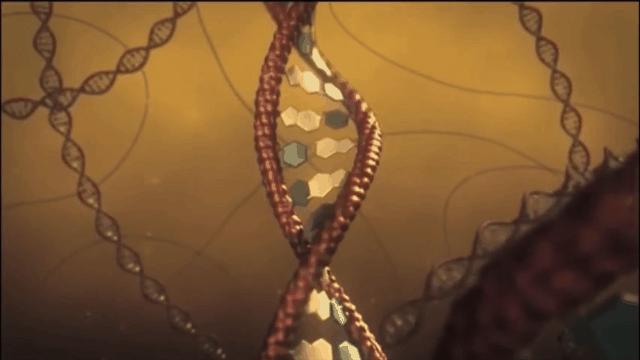 出去玩晒黑了如何拯救,9月份晒黑怎么办