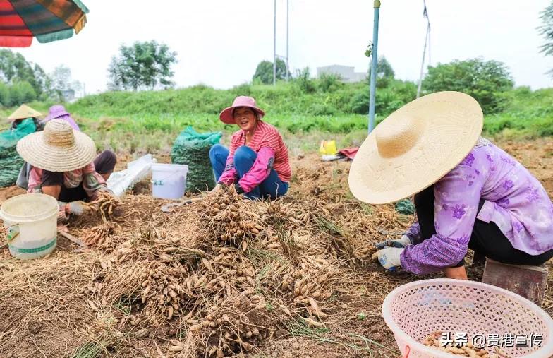 贵港十大旅游村,贵港古镇古村落有哪些景点