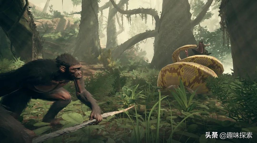 人类*亲近**存在阴茎骨，为何人类却褪去了，祖先经历了什么？