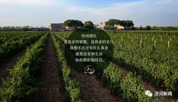 中国怡园酒庄红酒,怡园酒庄精品国产葡萄酒