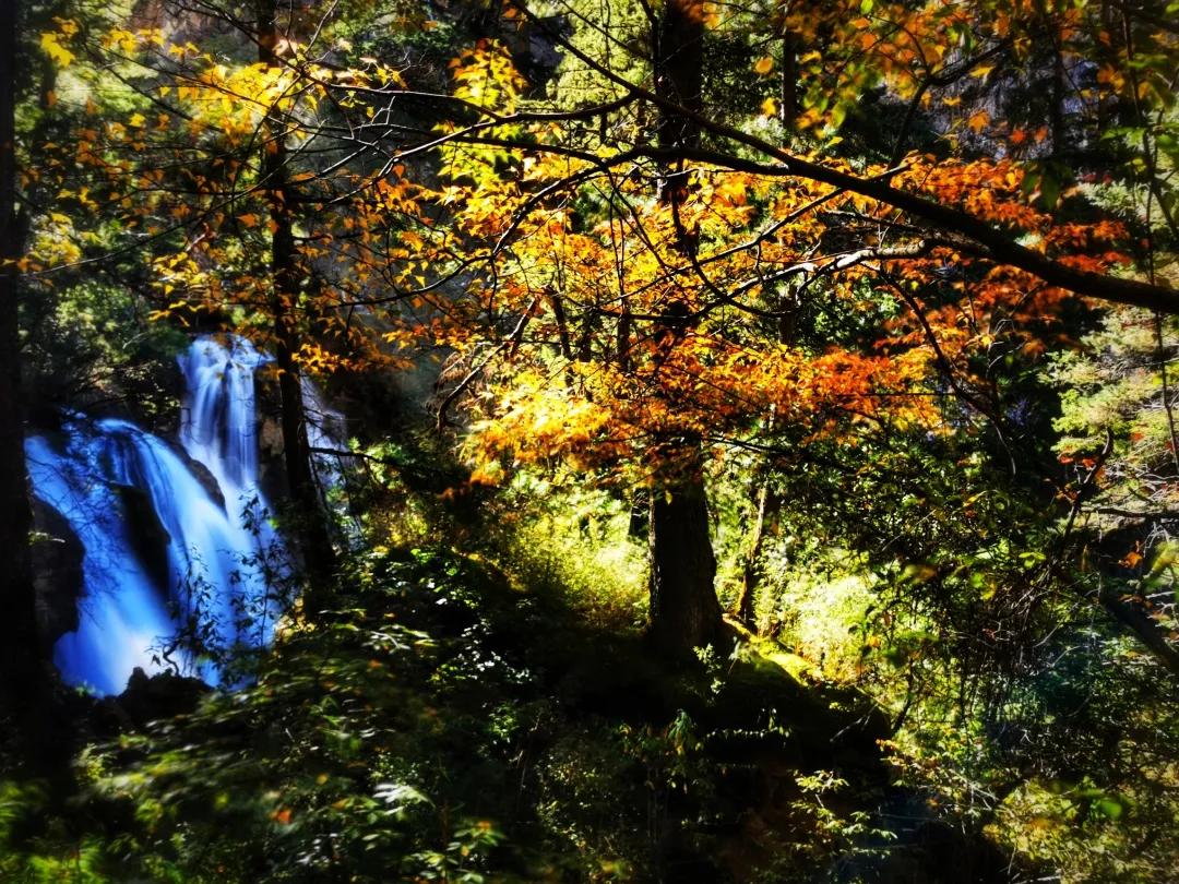 九寨更迷人,神奇的九寨景色迷人惹人醉