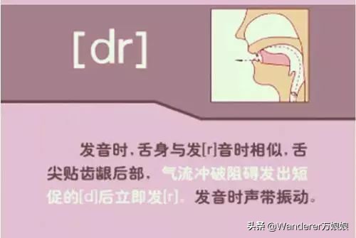 英语48个音标发音附详细图解,音标发音48个正确发音讲解视频