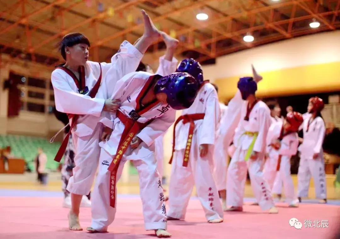 再获佳绩什么意思,北辰跆拳道晋级考试活动圆满结束