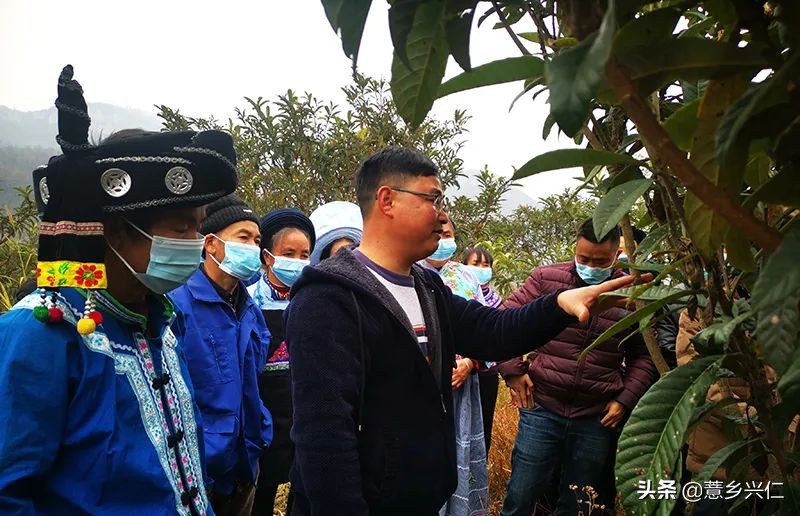 兴仁市巴铃镇花坝村加强技术培训巩固脱贫成效