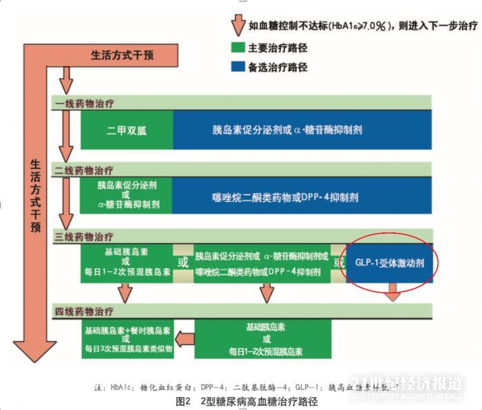 自己打针瘦身,打减肥针专用的笔