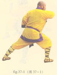 少林护心意门拳全套演示,少林拳长护心意门拳介绍