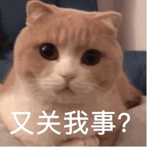 算了还是要上班系列表情包,一想到明天上班就想打个人表情包