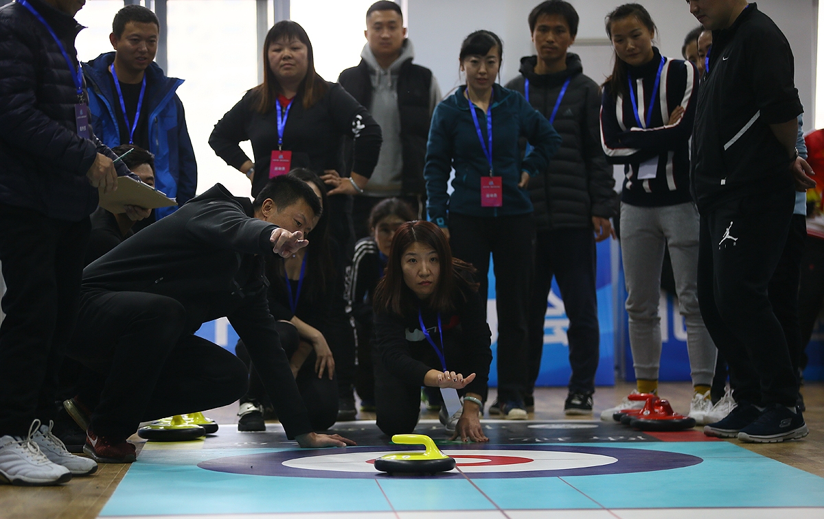 北京市第一届青少年冰壶冠军赛,北京市第一届运动会花样滑冰