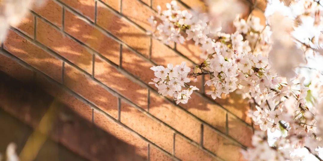 2021华东师范大学新生数据：来自34个省份86个国家，男女比约1:2