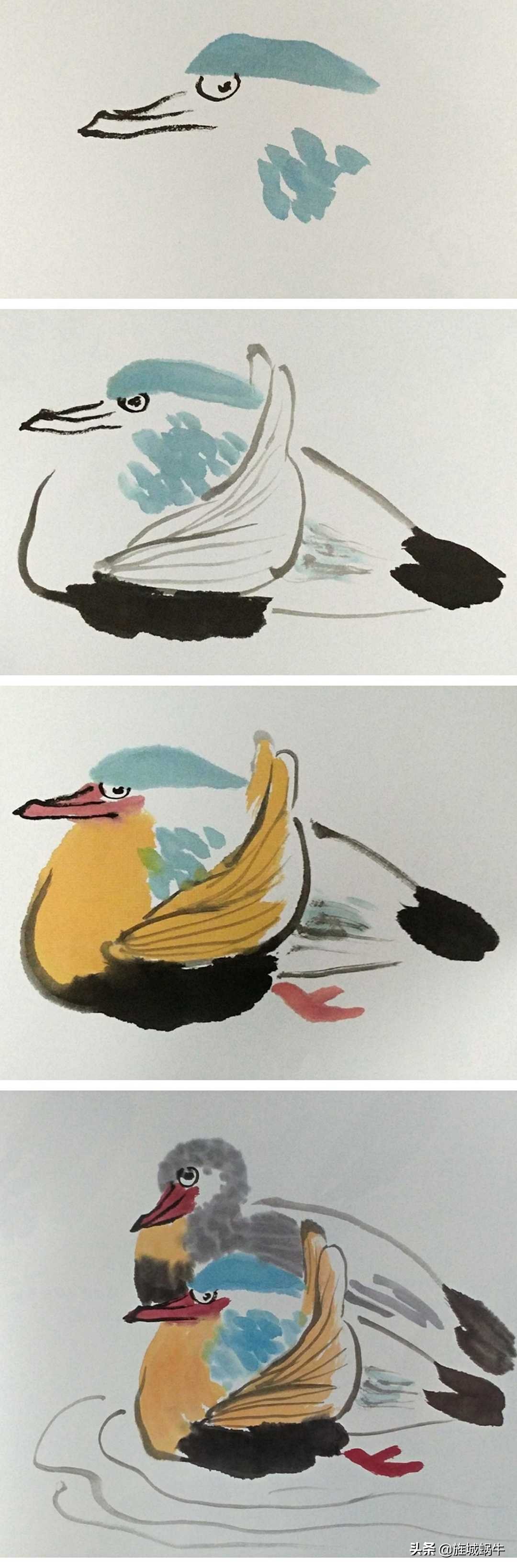 一学就会的禽鸟画法书,禽鸟的画法大全图解