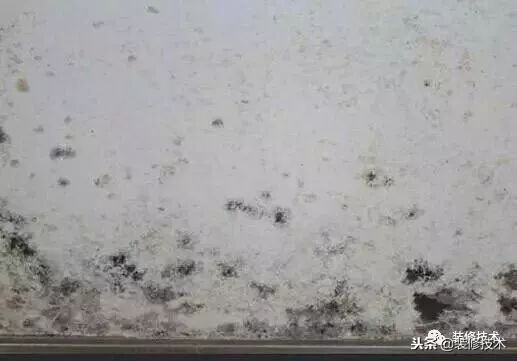 为什么防水做了墙面还是返潮,墙面返潮防水