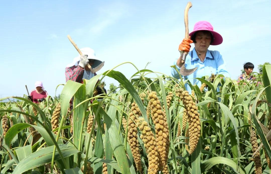 汝阳县发展,汝阳最近很火的地方