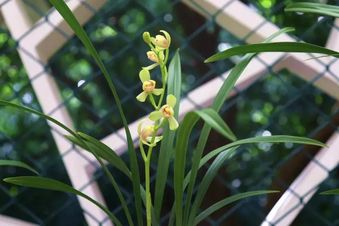 广州国庆旅游攻略大全图,广州最全景点攻略