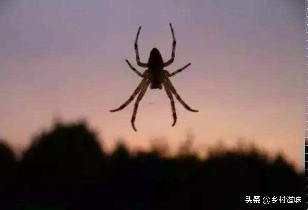 家中五喜指的是什么,五喜来家有财的俗语