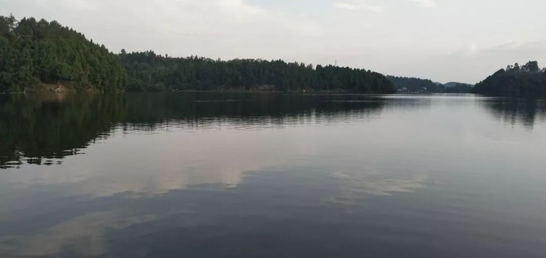 天气冷鱼情也变凉,天气冷淡水鱼好养