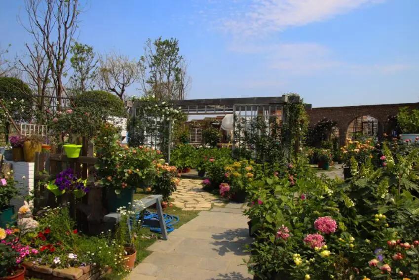 不只是卖花!春天花乐园2.0来了