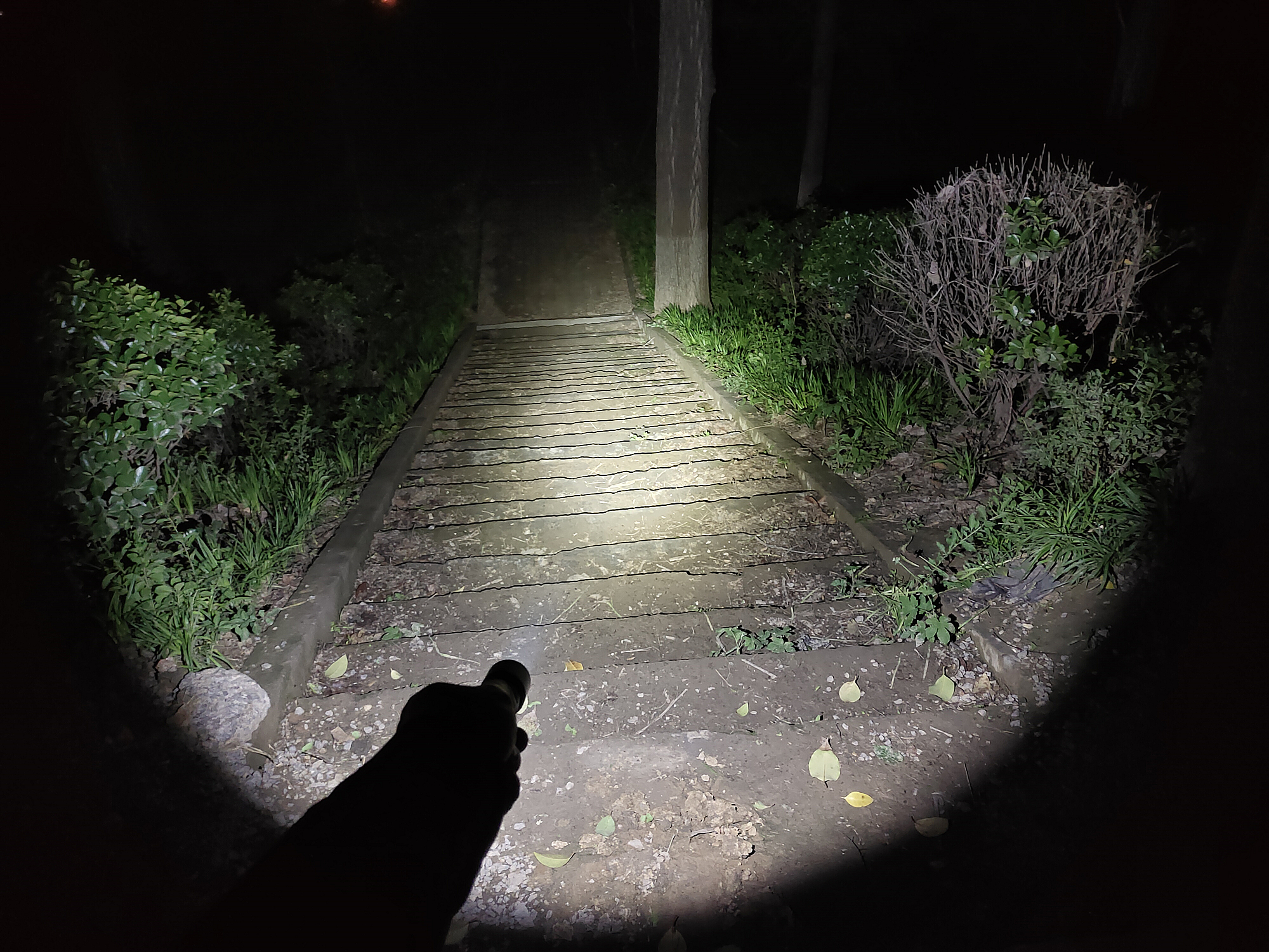 全面升级进化之作!Fenix菲尼克斯C60V3.0手电赏评