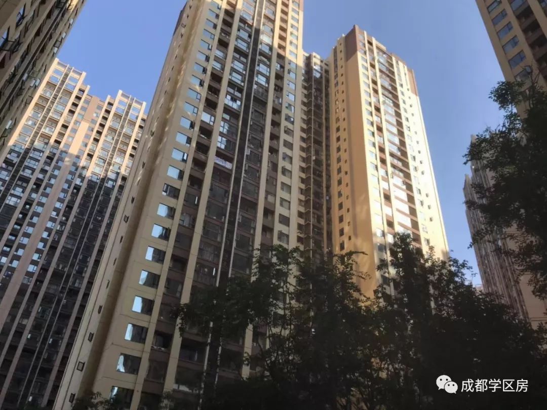 天府新区私立小学招生简章,天府新区第六小学对应初中