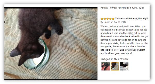 谁在证明PetAg美国倍酷奶粉的强大口碑？来自全球用户的真实反馈