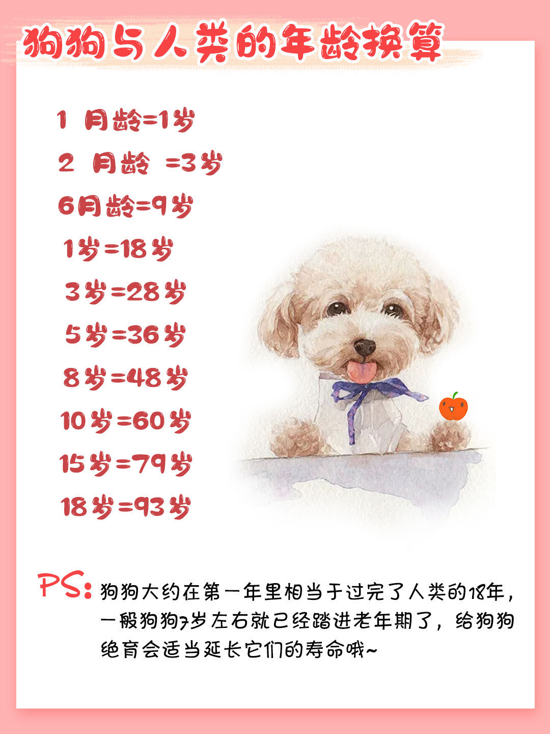 新手养狗狗狗的护食行为怎么纠正,第一次养狗狗哪种狗狗适合新手养