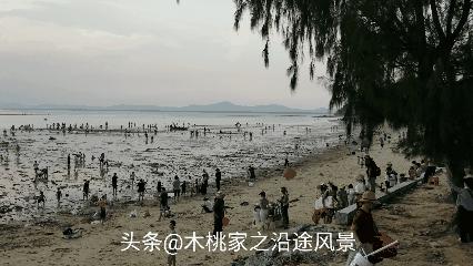 东平赶海沙滩,东平赶海最佳地方