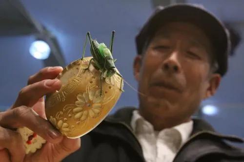 鸣虫蛐蛐的历史,鸣虫历史