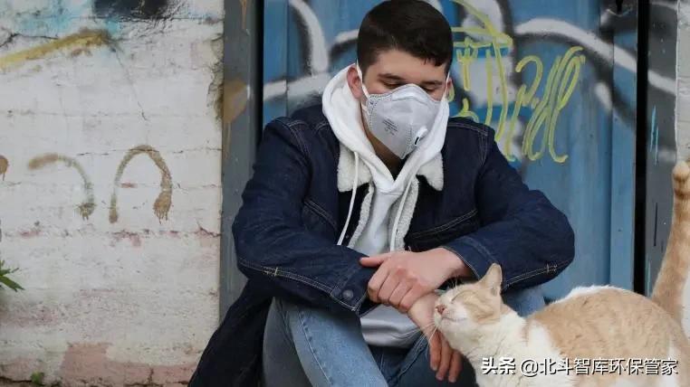 人和狗猫会交叉感染新冠吗,猫和老虎会传染新冠吗