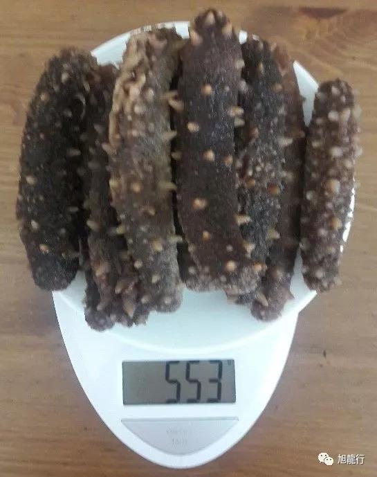 秋风起秋膘贴,秋风起贴秋膘喝羊汤