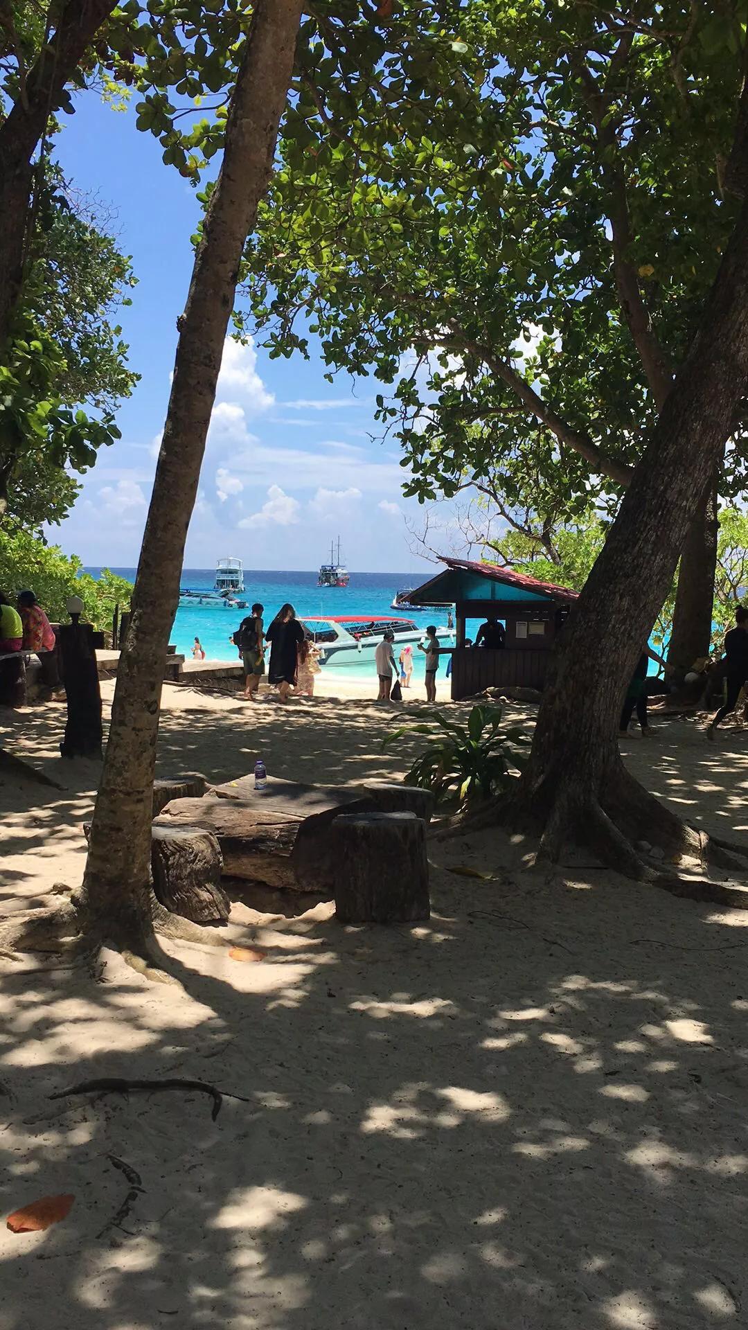 一场说走就走的旅行作文,一场说走就走的旅行文案