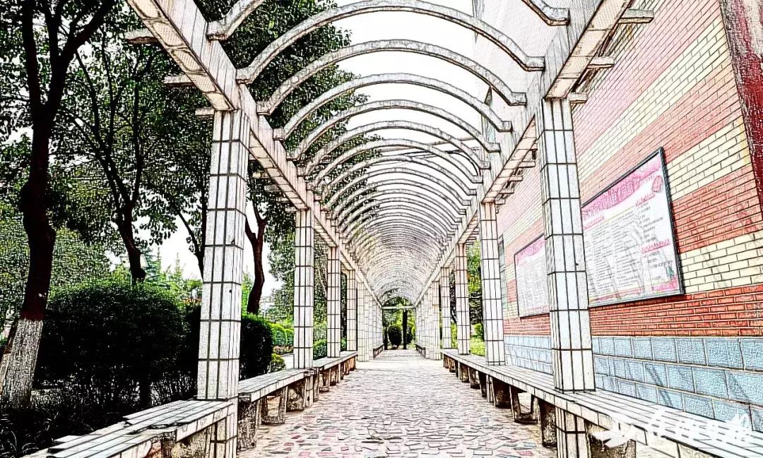 焦作市第四中学百科介绍,焦作市第四中学高三校区