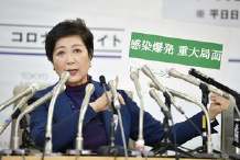 石头创业,石头创业项目