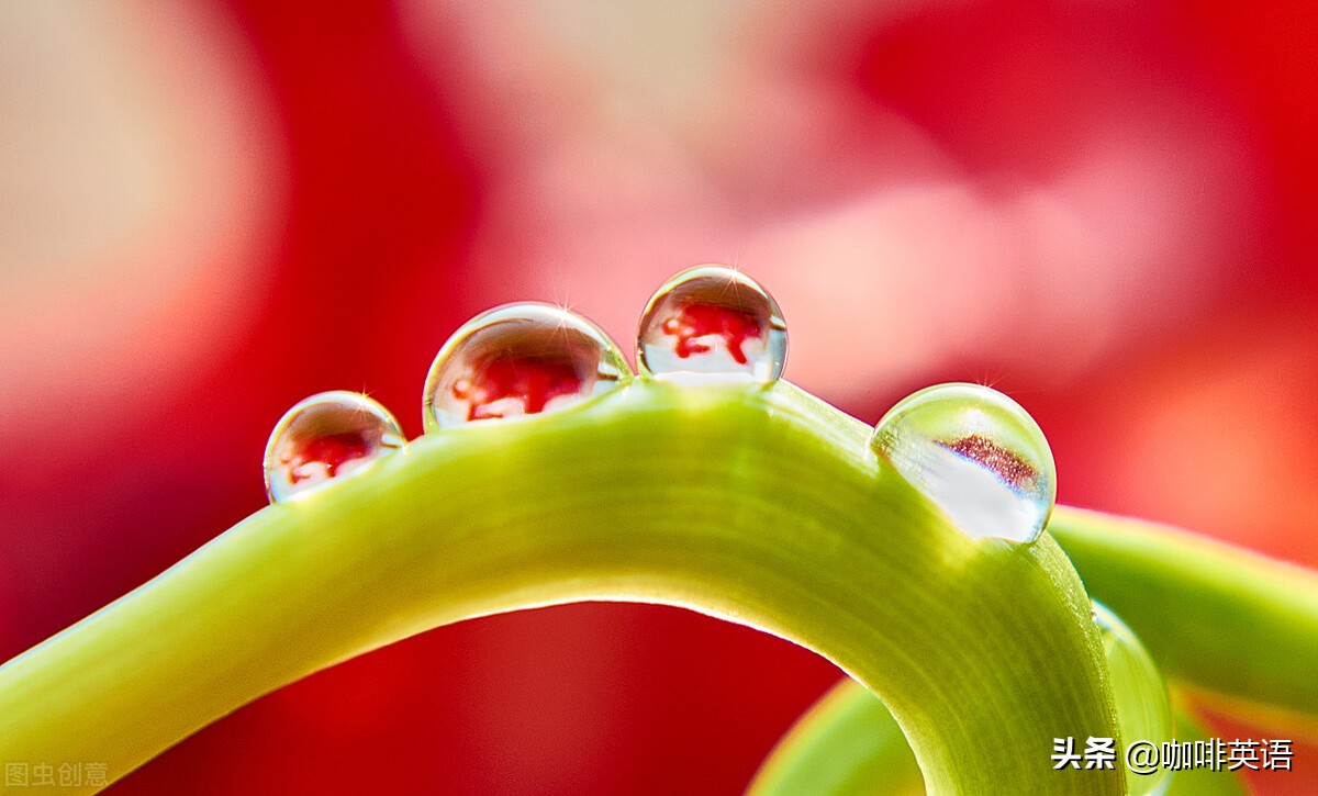 在情境中学习英文俚语，小别胜新婚、百闻不如一见等