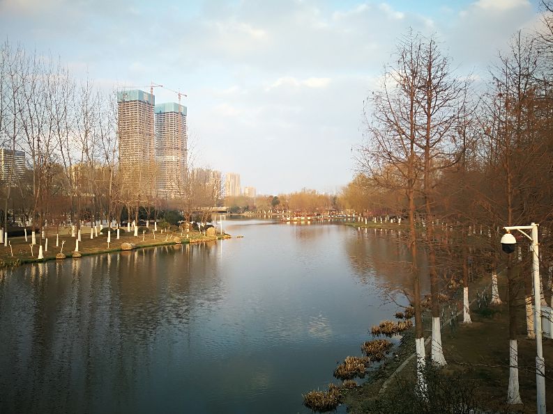 漫步河畔公园全景图,漫步公园美景