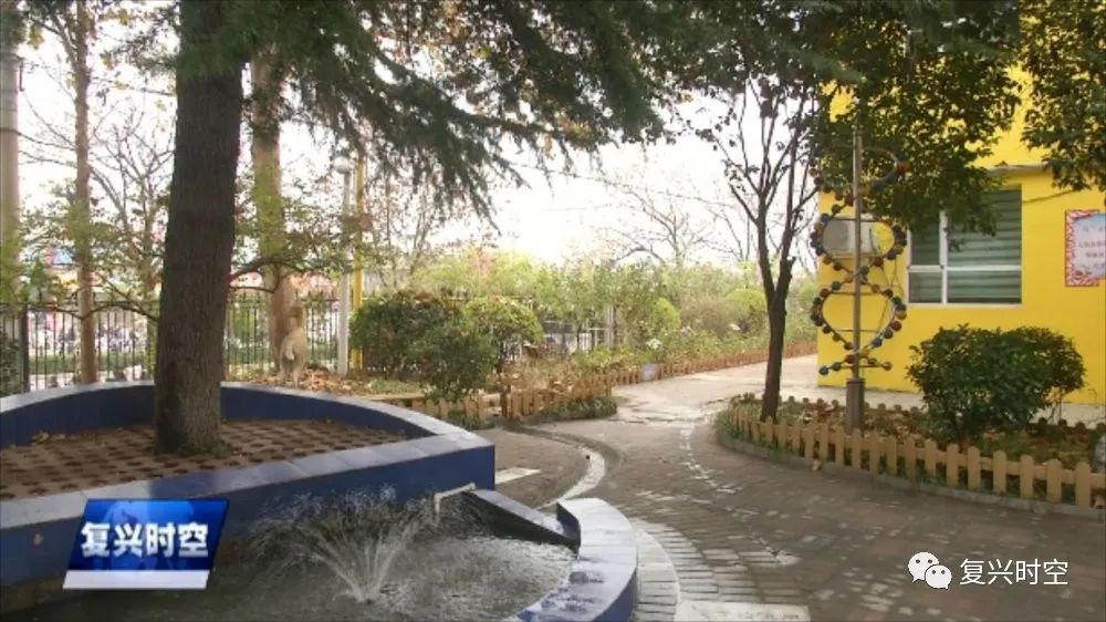 【复兴时空】：邯郸市复兴区前进小学荣获“全国文明校园”称号