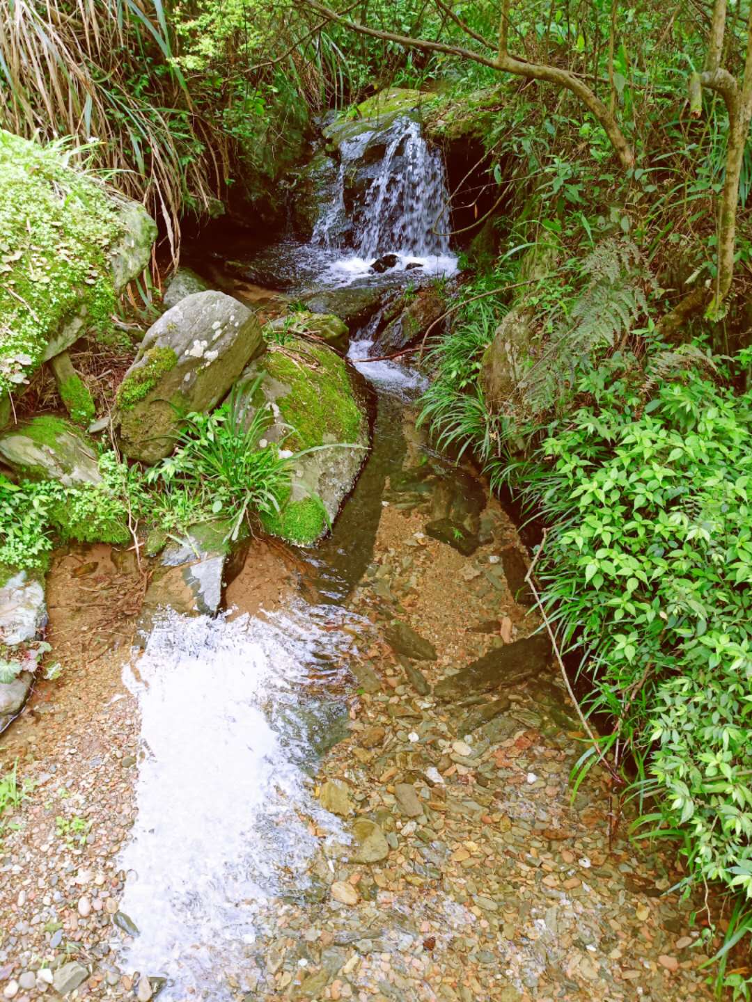 长沙周边农家乐景点推荐,长沙农家乐哪里好玩