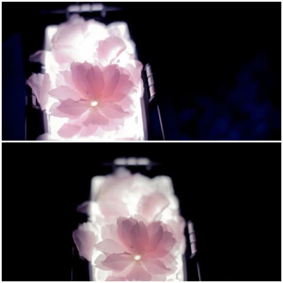 这等世外仙境竟然在西南交通大学希望学院?