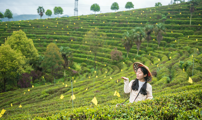 疫情对湖南这里居然丝毫没有影响！0病发，还超级适合徒步旅行！