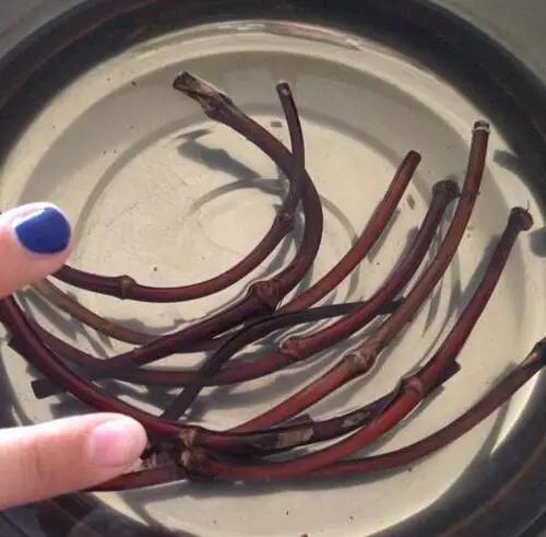 等疫情结束了我想回安徽,等疫情结束了我想放个长假