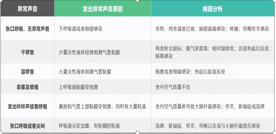 支气管部分堵塞最好的解决方法,支气管堵塞最好的解决方法
