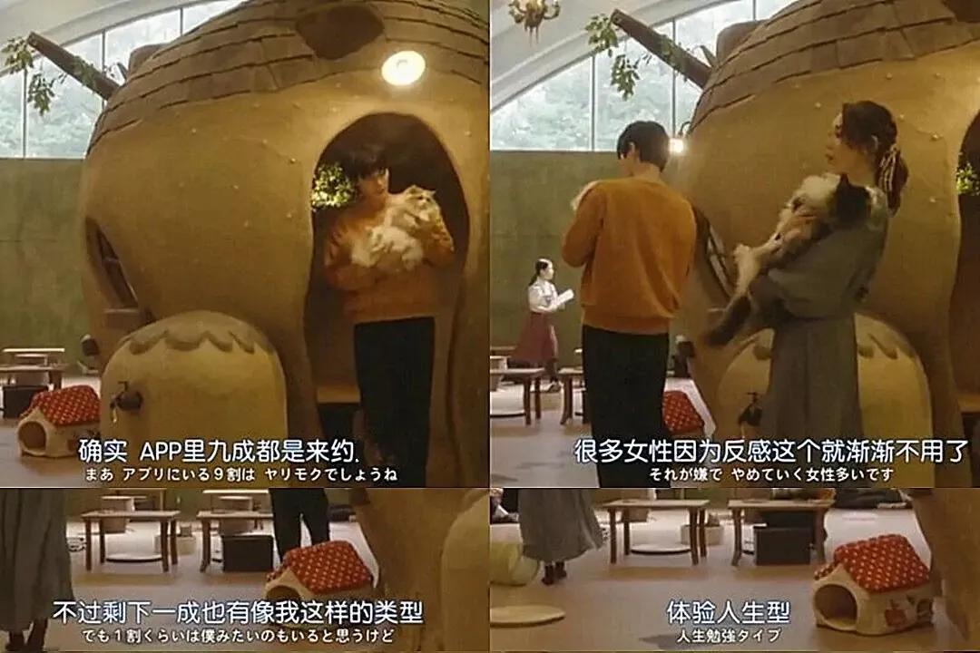 相亲app的问题,相亲app大实话