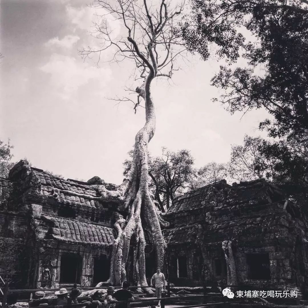 柬埔寨|土味的地方还原最真实的暹粒