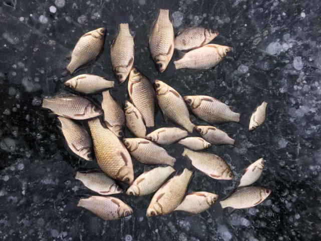 冰钓的十大技巧,冬季北方冰钓的八大禁忌