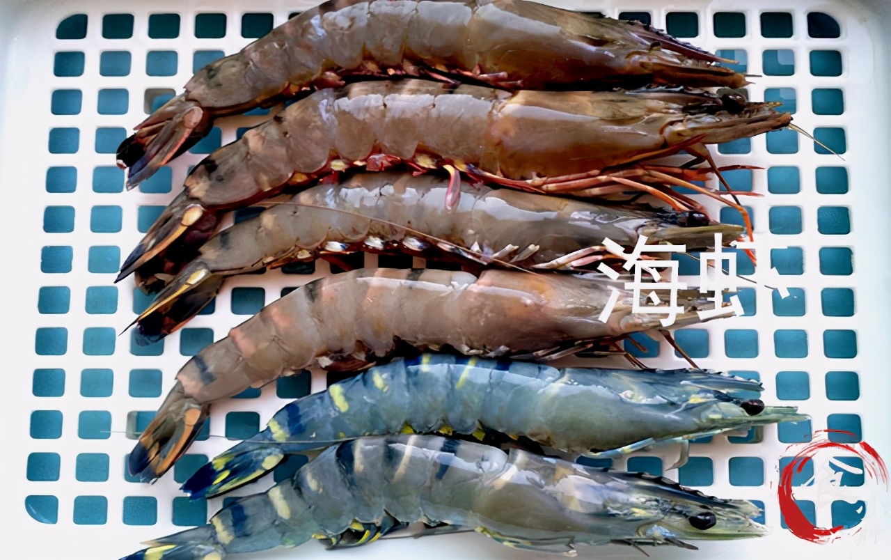 海捕虾和养殖虾的区别,买虾不可以挑大小吗