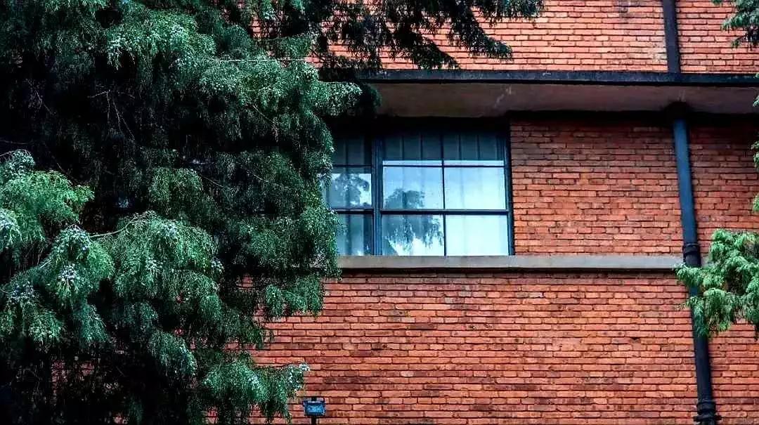 昆明最火网红打卡景点免费的,昆明最近的值得打卡的景点