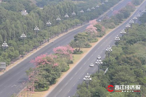 入选交通部“最具人气的路”提名!一起为晋江世纪大道和东石园东路助力